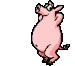 dancing hog